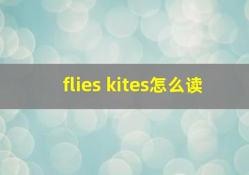 flies kites怎么读